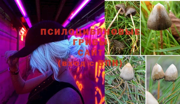 соль ск Кинешма