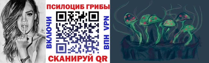 kraken сайт  как найти наркотики  Заводоуковск  Псилоцибиновые грибы Psilocybine cubensis 