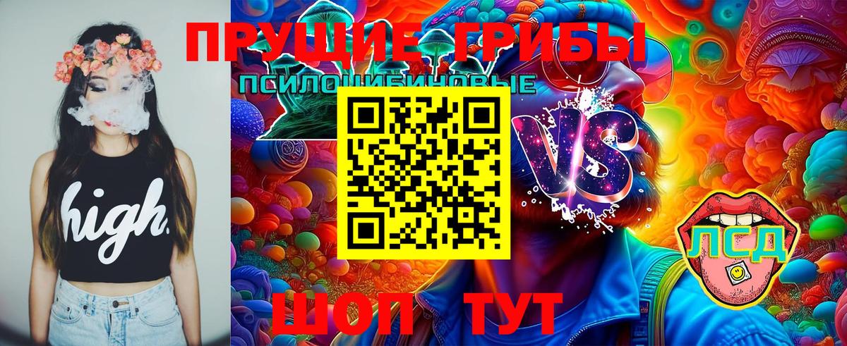 Заводоуковск  Псилоцибиновые грибы ЛСД  Вход с VPN 